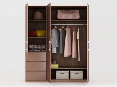 MẪU TỦ ÁO 3 CÁNH MỞ 15