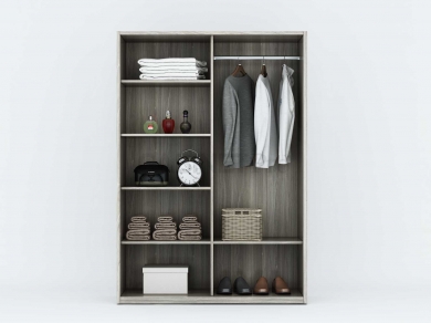 MẪU TỦ ÁO 2 CÁNH LÙA 01