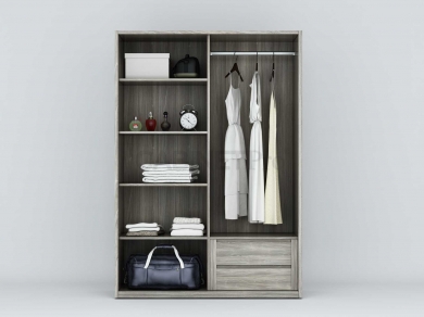 MẪU TỦ ÁO 2 CÁNH LÙA 02