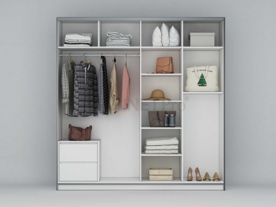 MẪU TỦ ÁO 2 CÁNH LÙA 03